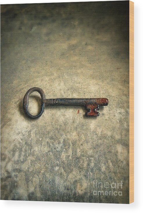 Blood Wood Print featuring the photograph Key with Blood on it. by Jill Battaglia