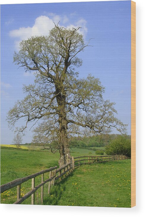 Corner Wood Print featuring the photograph On the Corner by Roberto Alamino