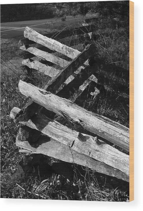 Curtis Neeley Wood Print featuring the photograph OrchardFence by Curtis J Neeley Jr