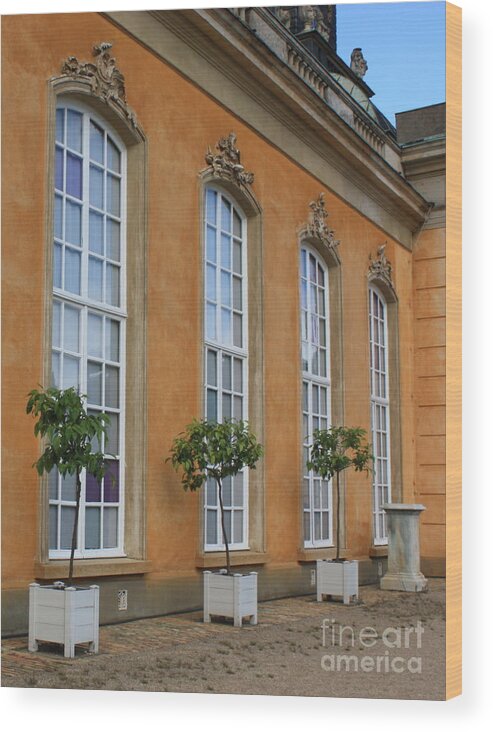 Windows Wood Print featuring the photograph Palace Windows and Topiaries by Carol Groenen