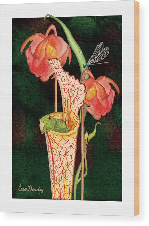 Pitcher Plant Wood Print featuring the painting Pitcher Plant with Blooms by Anne Beverley-Stamps