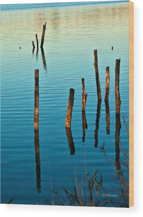 Fall Wood Print featuring the photograph Submerged Trees At Sunset by Ed Peterson