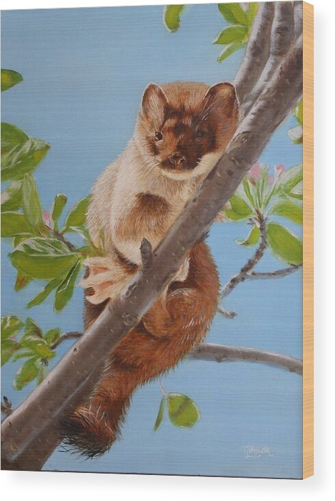 Weasel Wood Print featuring the painting The Weasel by Tammy Taylor