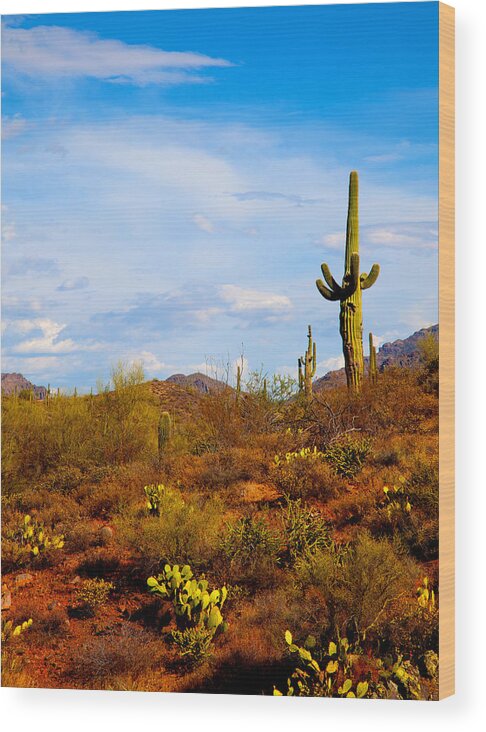 Saguaro Cactus Wood Print featuring the photograph The Witness by Jephyr Art