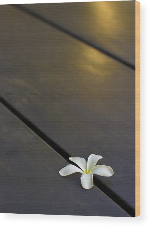 Minimal Wood Print featuring the photograph Forever and Ever by Prakash Ghai