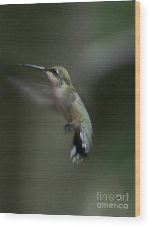 Bird Wood Print featuring the photograph At Dawn #1 by Barbara S Nickerson
