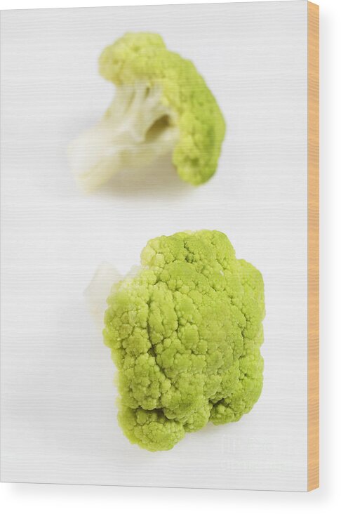 Botany Wood Print featuring the photograph Green Cauliflower #1 by Gerard Lacz