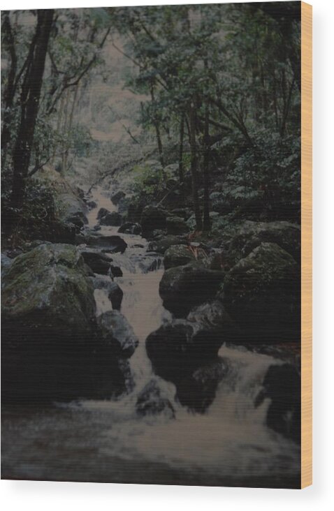 Water Wood Print featuring the photograph Puerto Rico Water #1 by Rob Hans