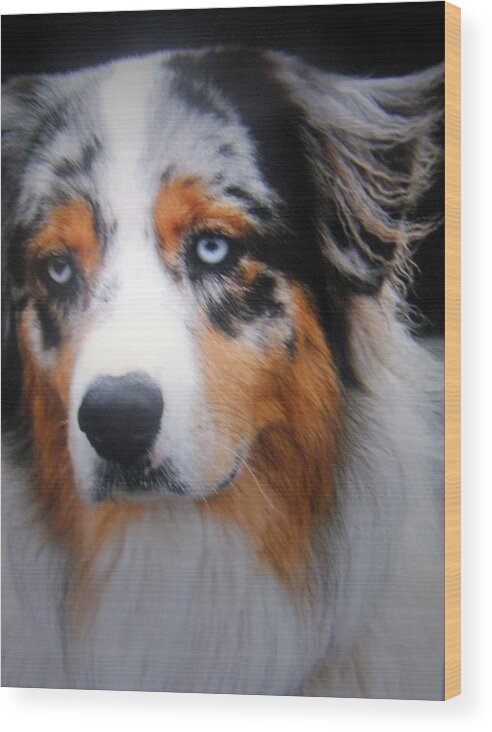 Workdog Wood Print featuring the photograph Riley #1 by Antonia Citrino