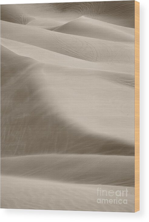 Sand Dunes Wood Print featuring the photograph A Soft Oasis by Suzanne Oesterling