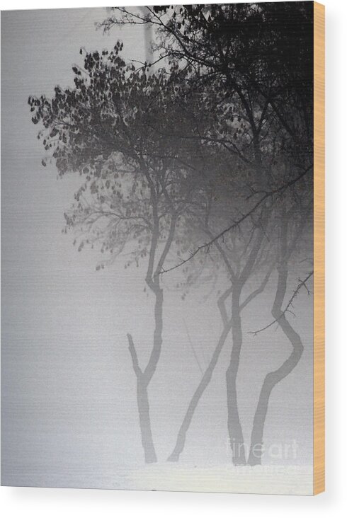 Trees Wood Print featuring the photograph A Walk Through The Mist by Linda Shafer