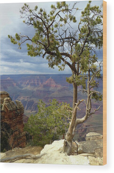 Beautiful Wood Print featuring the photograph Along the Rim by Gordon Beck