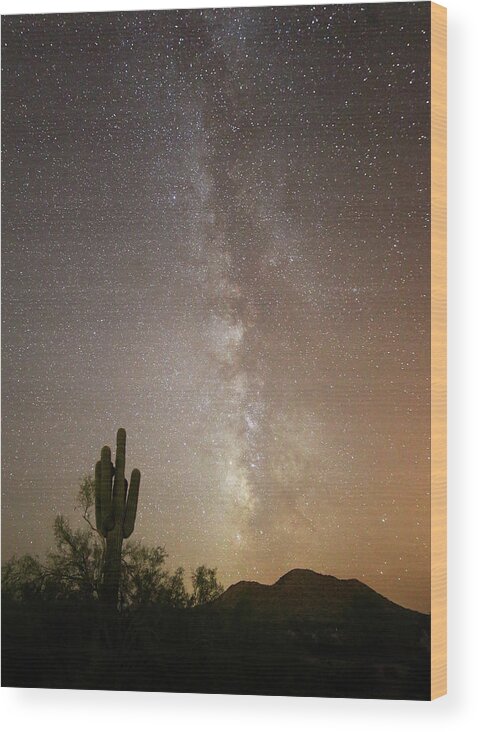 Cactus Wood Print featuring the photograph Arizona Night by Jean Clark