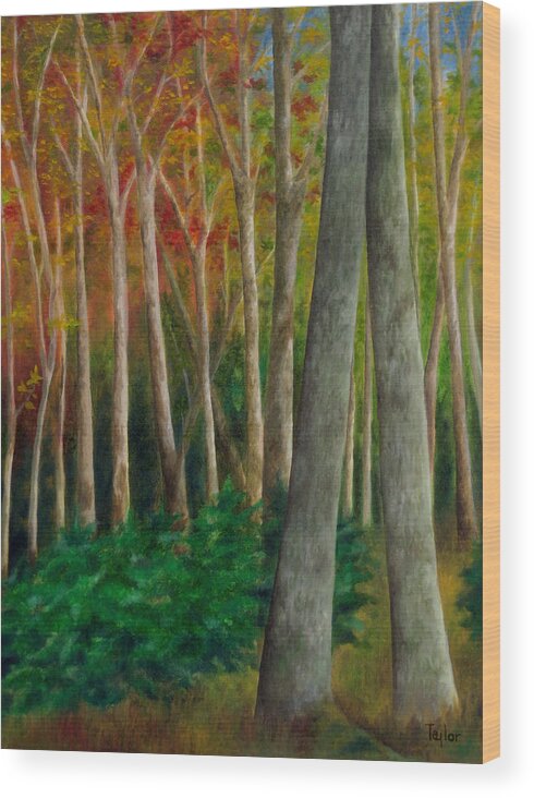 Autumn Wood Print featuring the painting Autumn Contrast by FT McKinstry