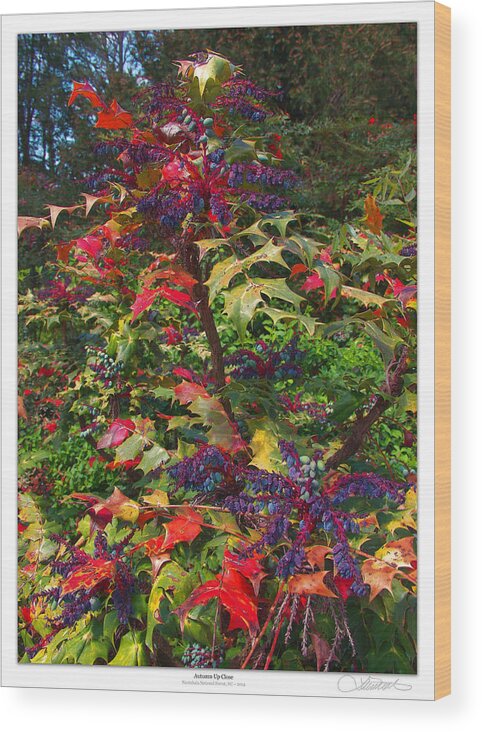 Nature Wood Print featuring the photograph Autumn Up-Close by Lar Matre