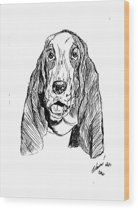 An Adult Wood Print featuring the drawing Basset Smiling by Charme Curtin