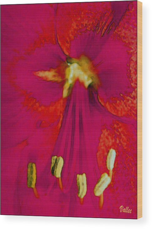 Flower Wood Print featuring the photograph Beckoning by Vallee Johnson