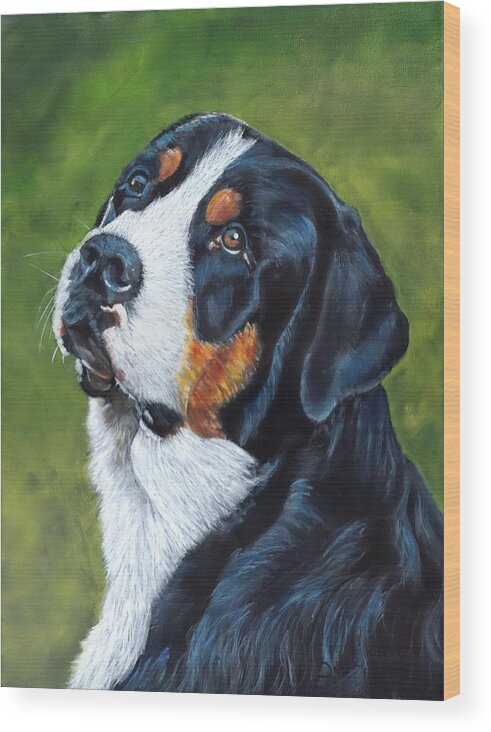 Bernese Mountain Dog Wood Print featuring the painting Bernie by John Neeve