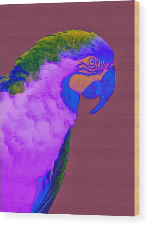 Bird Wood Print featuring the photograph Blue and Gold Macaw Sabattier by Bill Barber