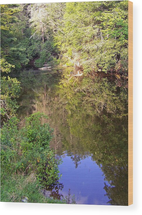 Water Wood Print featuring the photograph Blue Heart Surprise by Patricia Clark Taylor