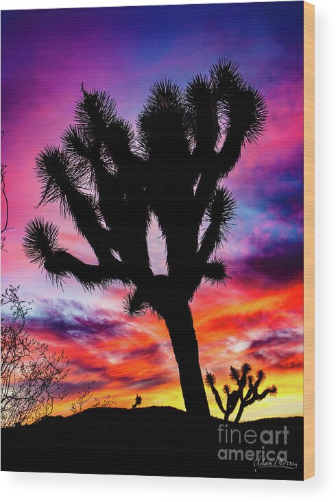 Landscape Wood Print featuring the photograph Burning Sky by Adam Morsa
