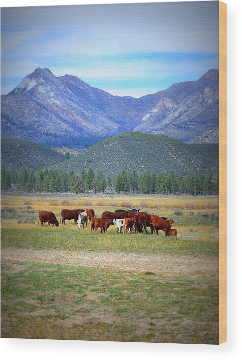 California Pastures Wood Print featuring the photograph California Pastures by Glenn McCarthy Art and Photography
