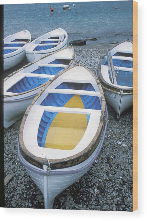 Capri Wood Print featuring the photograph Capri Boats by Dr Janine Williams