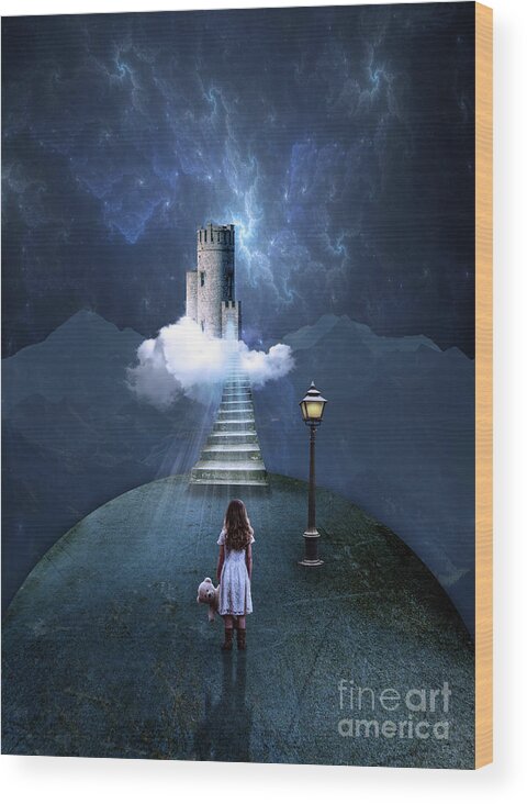 Castle Wood Print featuring the photograph Castle in the Clouds by Juli Scalzi