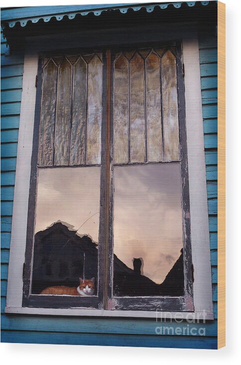 Cat Wood Print featuring the photograph Cat in the Window by Jeanne Woods