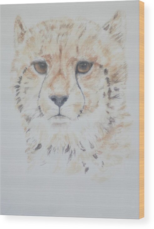 Cheetah Wood Print featuring the painting Cheetah Cushion by David Capon