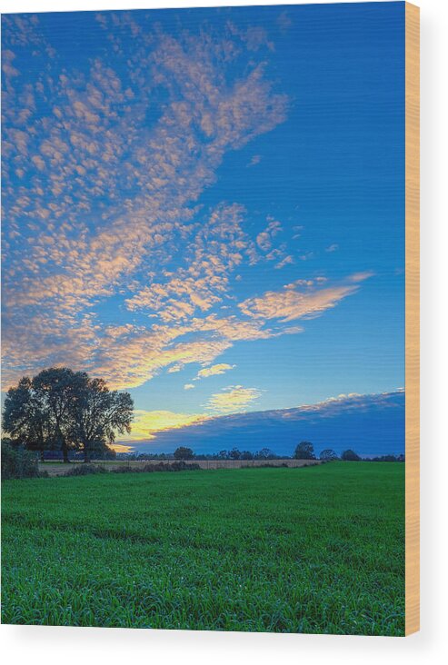 Countryside Wood Print featuring the photograph Countryside Dreams by Brad Boland