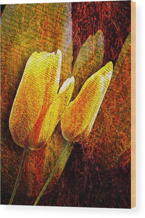 3d Wood Print featuring the photograph Digital Tulips by Svetlana Sewell
