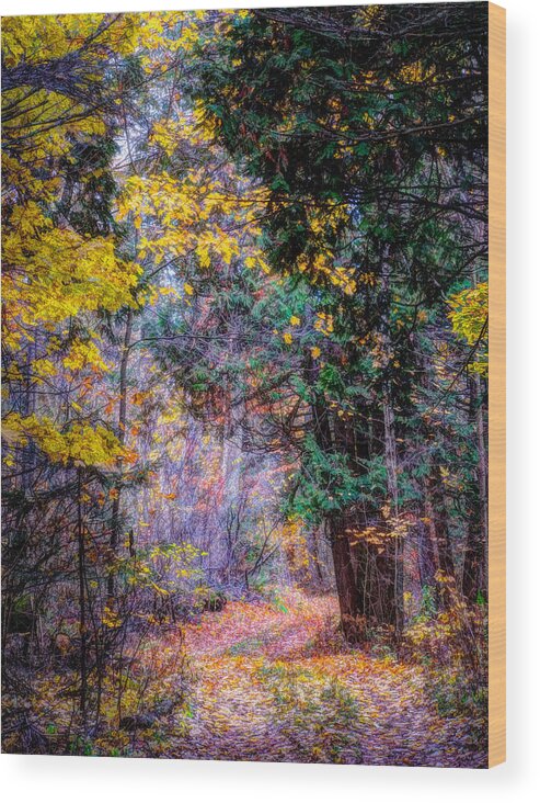 Wisconsin Wood Print featuring the photograph Distant Path by David Heilman