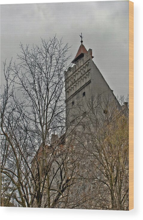 Dracula Wood Print featuring the photograph Dracula's Castle Transilvania in HDR by Matthew Bamberg