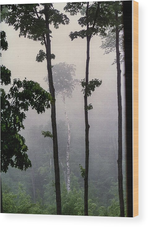  Wood Print featuring the photograph Early Morning Mist by Rick Redman