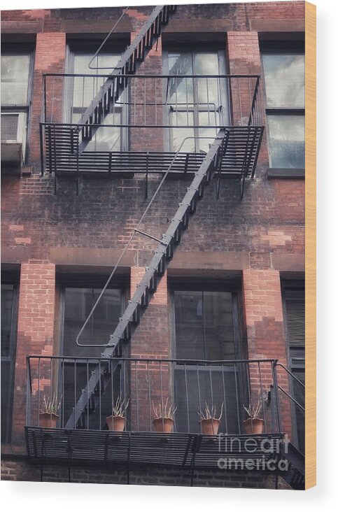 Fire Escape Wood Print featuring the photograph Fire Escape by Diana Rajala