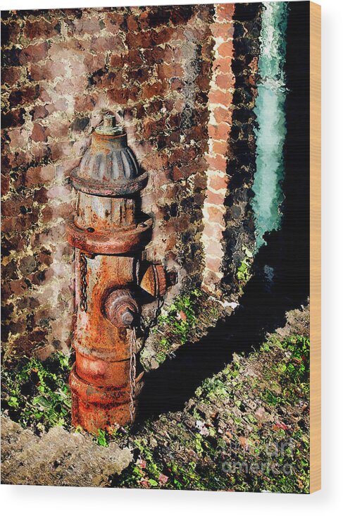 Fire Hydrant Wood Print featuring the photograph Fire Plug by Colleen Kammerer