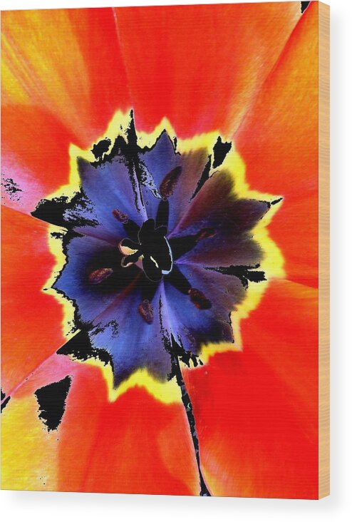 New Wood Print featuring the digital art Floral 1229 by Chuck Landskroner