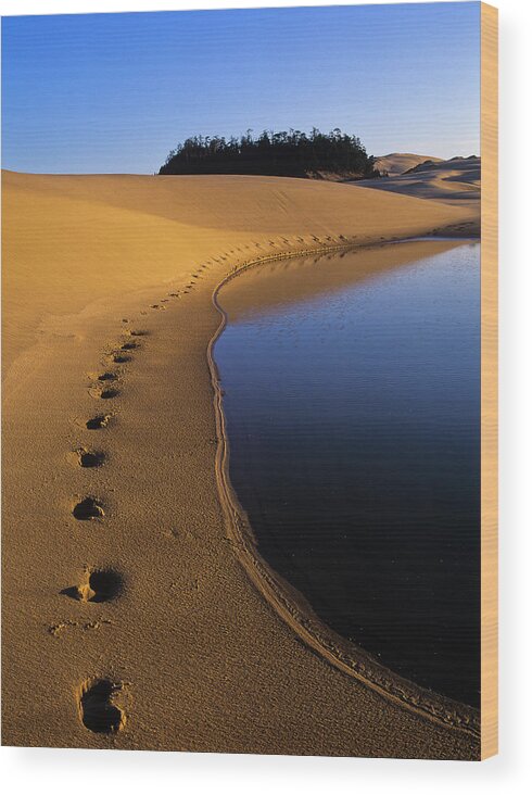 Dunes Wood Print featuring the photograph Footprints in the Sand by Robert Potts
