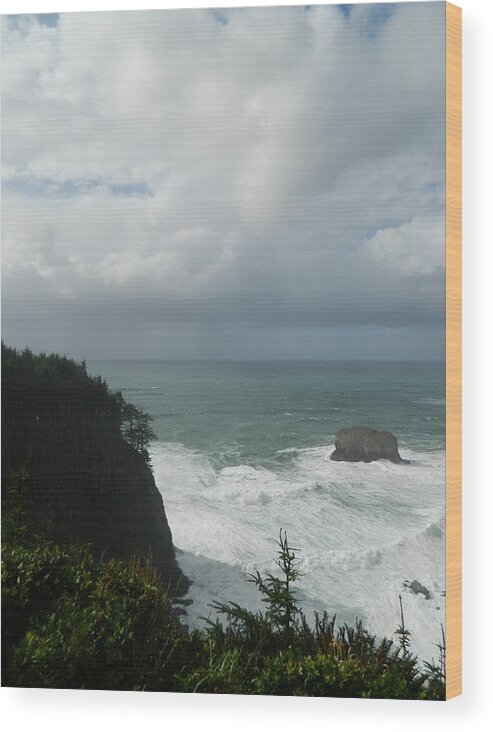 Oregon Wood Print featuring the photograph Force Of Nature by Gallery Of Hope 