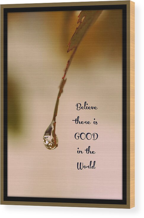 Raindrop Wood Print featuring the mixed media Good In The World by Trish Tritz