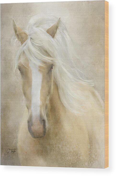 Horses Wood Print featuring the painting Spun Sugar by Colleen Taylor