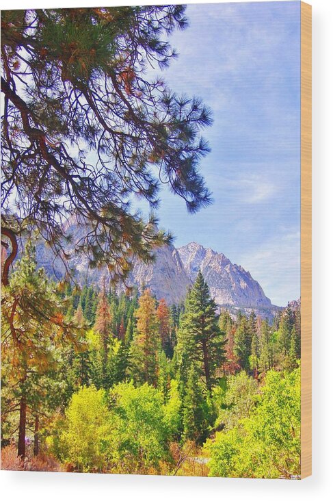 Sky Wood Print featuring the photograph High Sierra by Marilyn Diaz