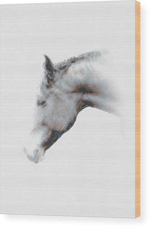 Horse Wood Print featuring the photograph Horse profile in Black and White by John Stuart Webbstock