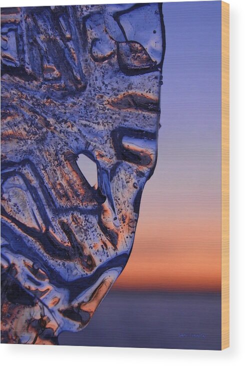 Enjoying Sunset Wood Print featuring the photograph Ice Lord by Sami Tiainen
