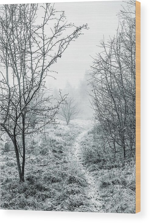 Ice Wood Print featuring the photograph Into the Mist by Nick Bywater