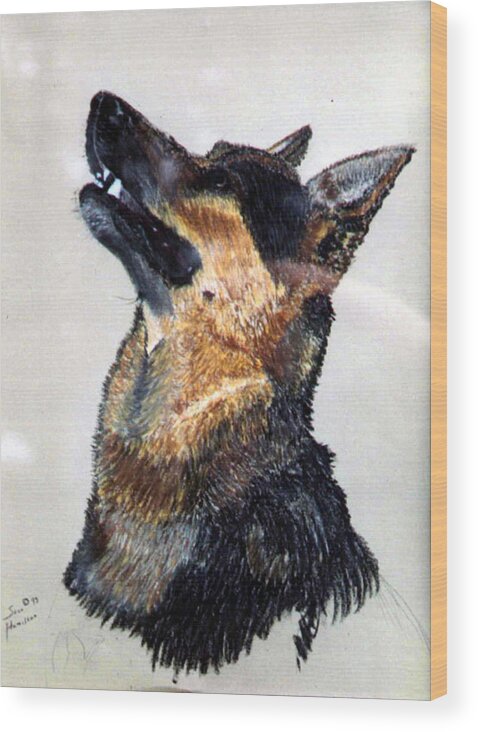 Dog Portrait Wood Print featuring the painting Keno by Stan Hamilton