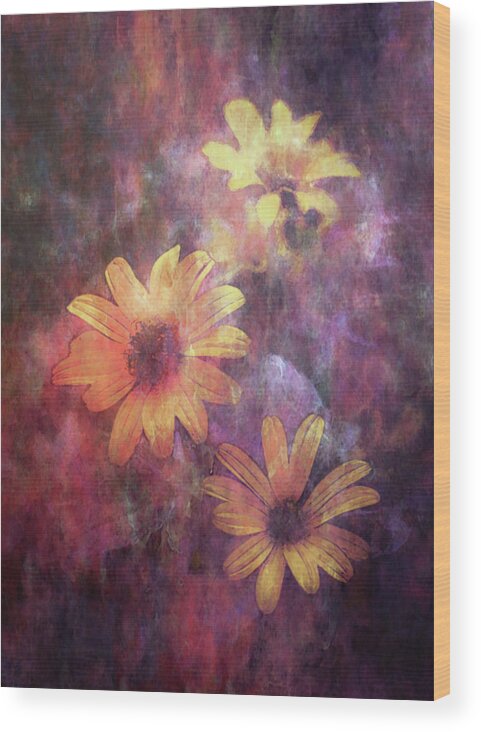 Lost Wood Print featuring the photograph Lost Glowing Wildflowers 5474 LDP_2 by Steven Ward