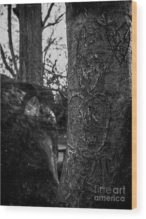 Tree Wood Print featuring the photograph Love's Scars in Central Park - BW by James Aiken