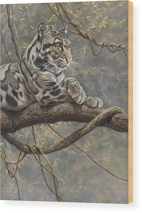 Clouded Leopard Wood Print featuring the painting Male Clouded Leopard by Alan M Hunt
